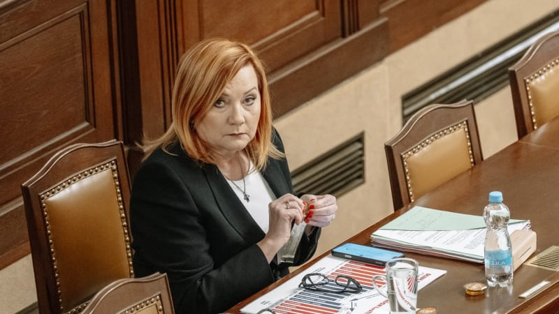 Česko má nový rozpočet. Schodek narostl na 310 miliard, polepší si například sport