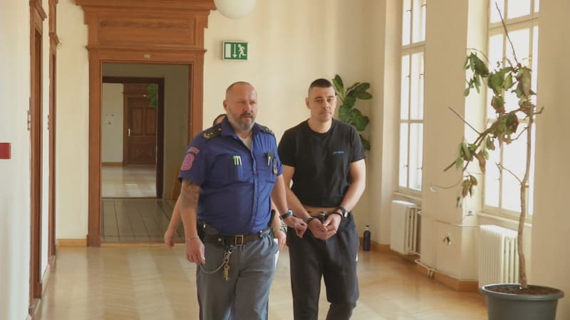 Viník tragické nehody na D2 si vyslechl trest. Loni způsobil smrt tří lidí, včetně dítěte
