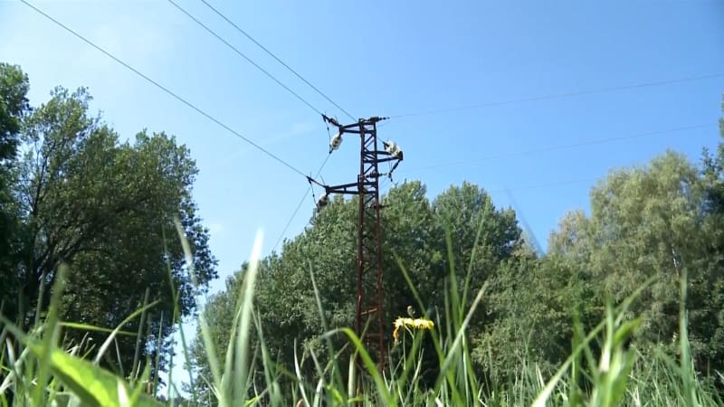 Jejich sekty se bojím, zní z okolí komunity, kde zemřel chlapec. Expert mluví o ezobyznysu