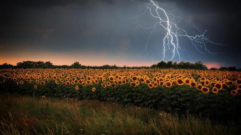Do Česka se ženou silné bouřky s krupobitím. RADAR ukazuje, zda dorazí i k vám
