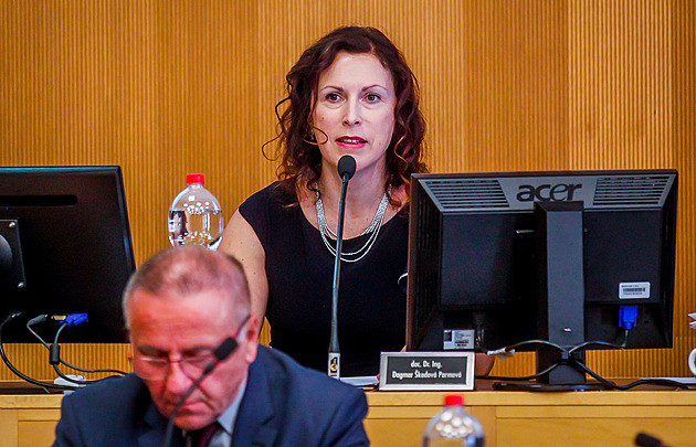 O post primátora Budějovic zabojuje deset stran či koalic, levice zkusí slepenec